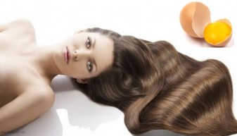 Đánh bay nỗi lo rụng tóc với hai loại mặt nạ đơn giản từ trứng gà